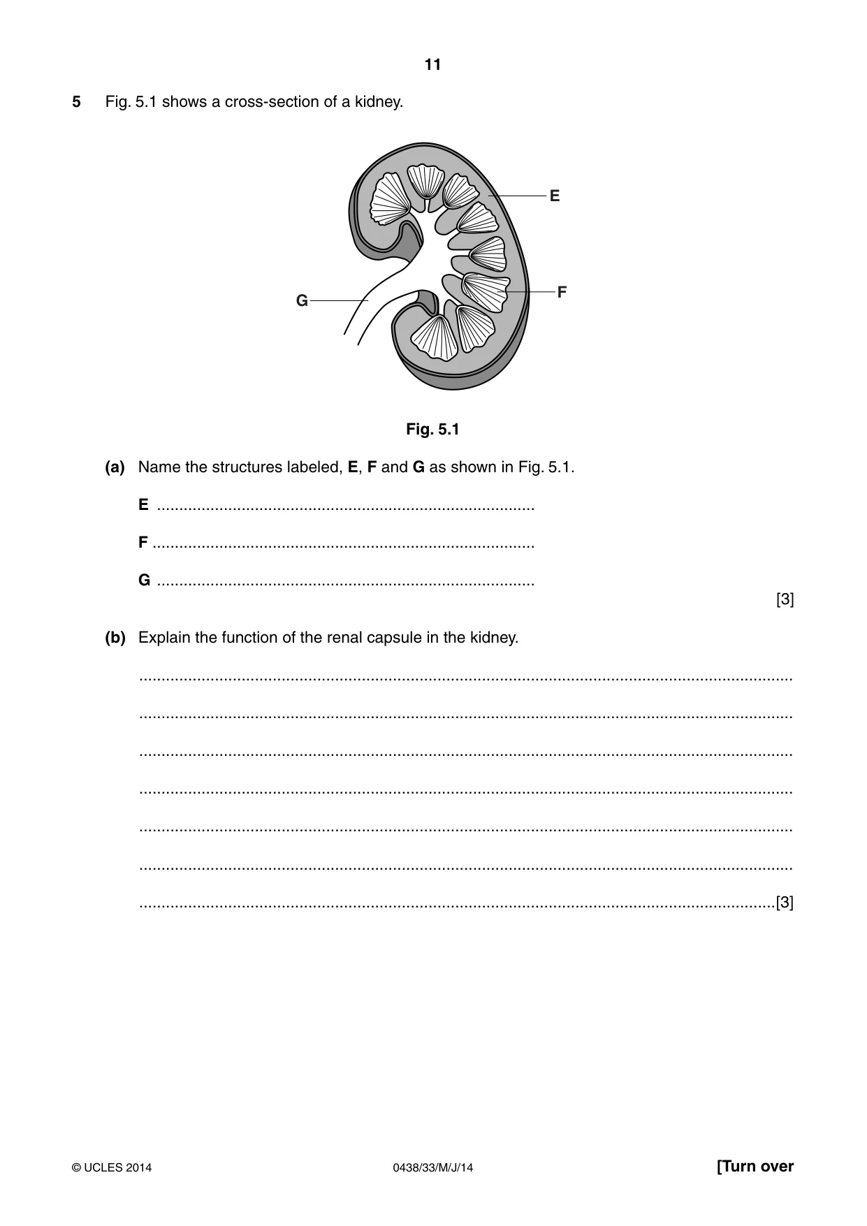 Cambridge IGCSE Biology (BES) 0438 2014 May/June Paper 3 · Variant 3 question paper, page 11 of 16