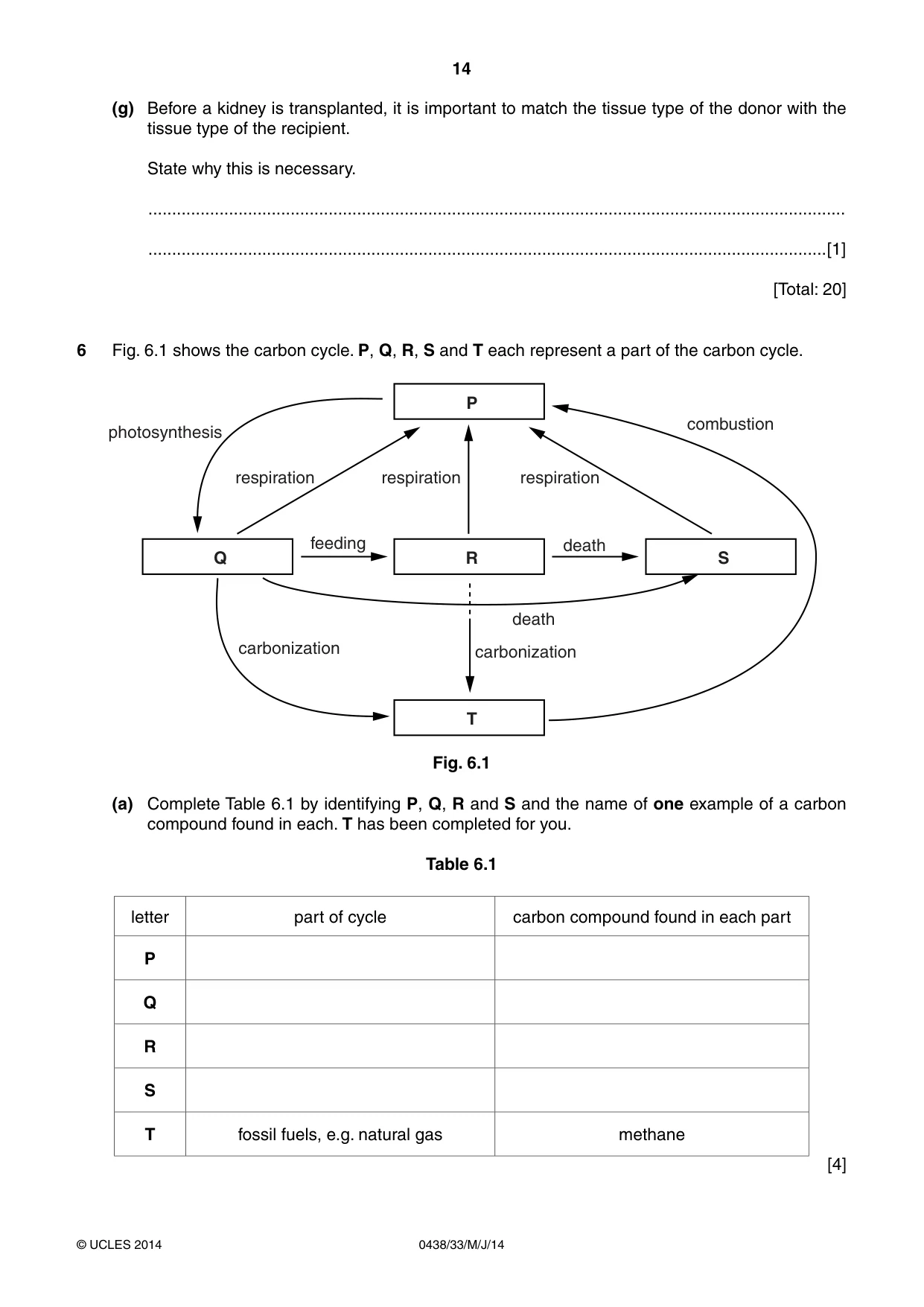 Cambridge IGCSE Biology (BES) 0438 2014 May/June Paper 3 · Variant 3 question paper, page 14 of 16