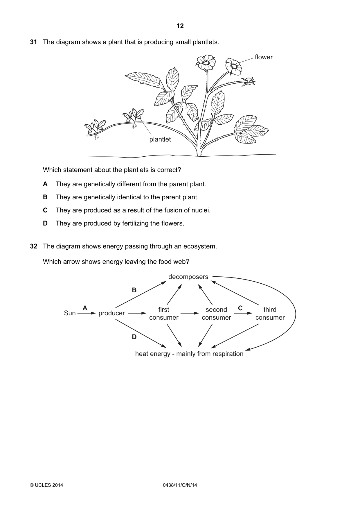 Cambridge IGCSE Biology (BES) 0438 2014 Oct/Nov Paper 1 · Variant 1 question paper, page 12 of 16