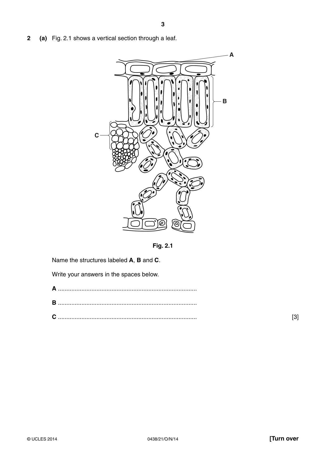 Cambridge IGCSE Biology (BES) 0438 2014 Oct/Nov Paper 2 · Variant 1 question paper, page 3 of 20