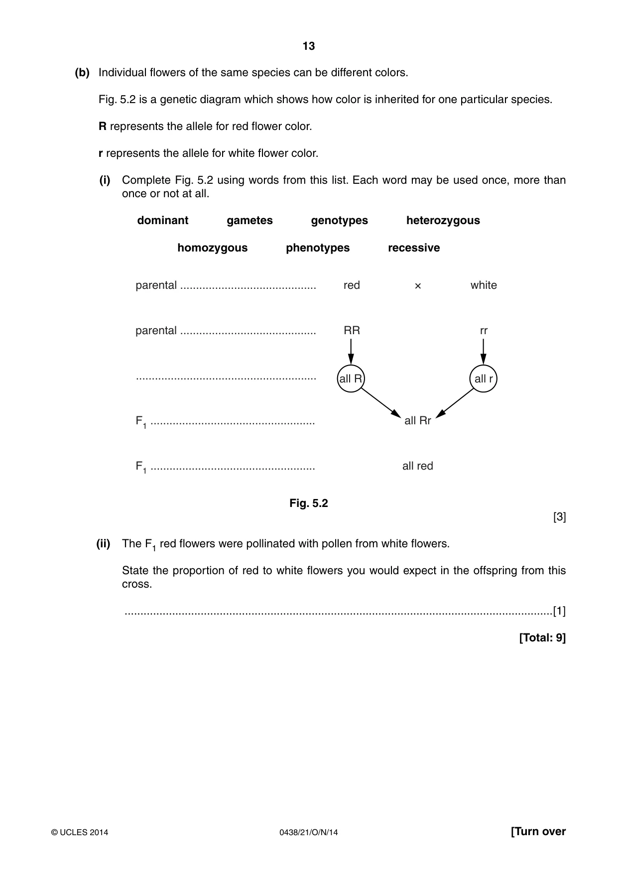 Cambridge IGCSE Biology (BES) 0438 2014 Oct/Nov Paper 2 · Variant 1 question paper, page 13 of 20