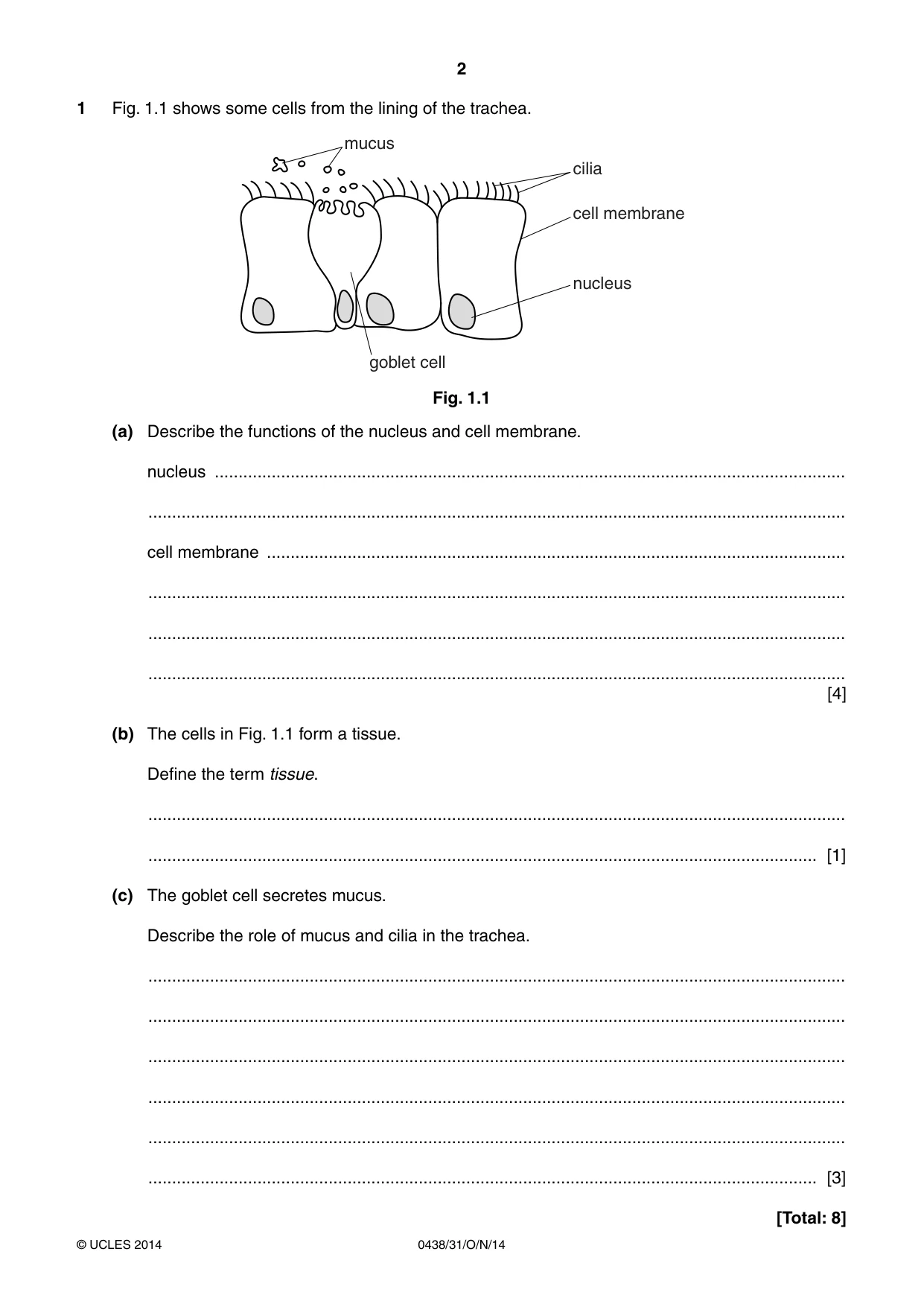 Cambridge IGCSE Biology (BES) 0438 2014 Oct/Nov Paper 3 · Variant 1 question paper, page 2 of 16