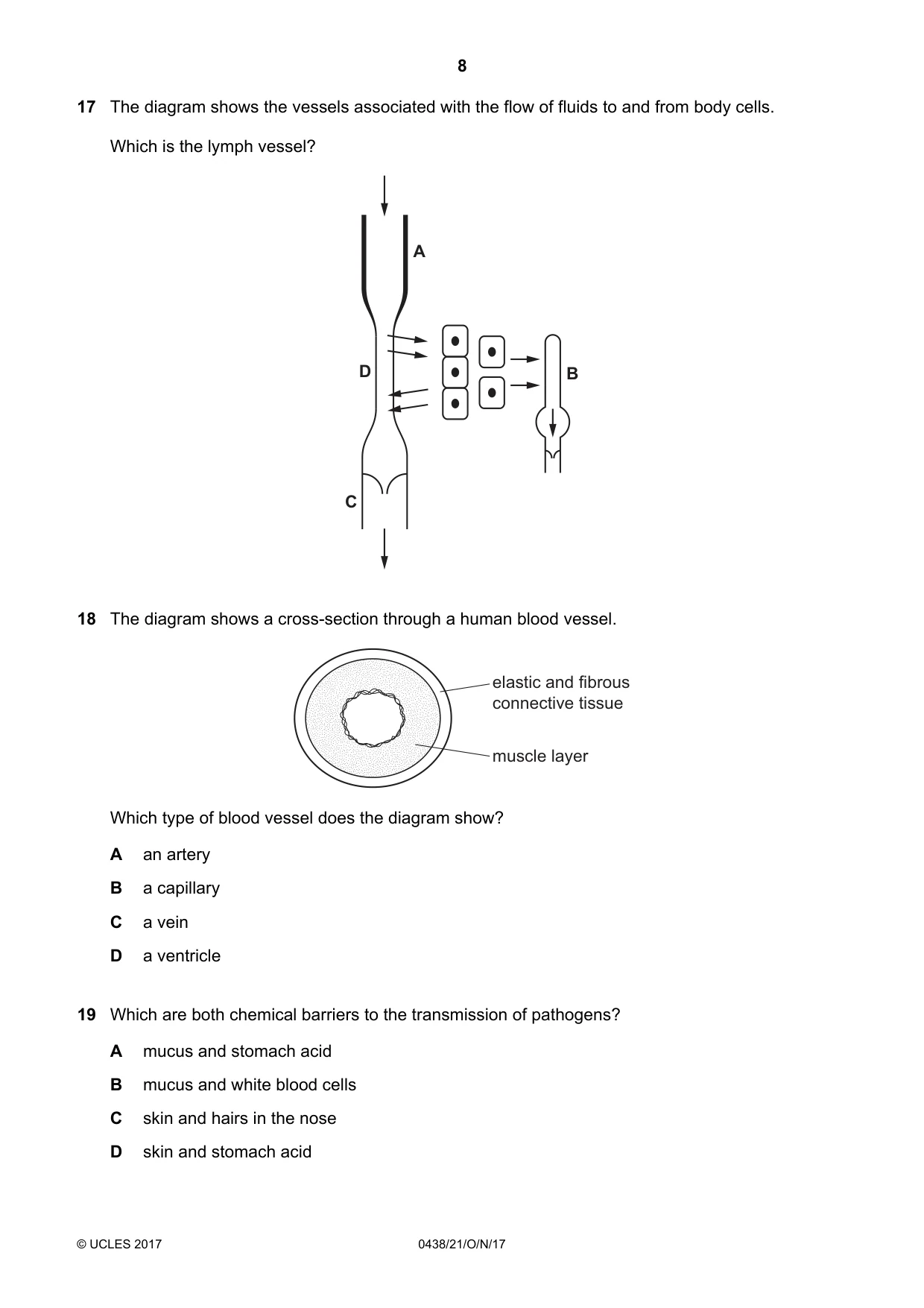 Cambridge IGCSE Biology (BES) 0438 2017 Oct/Nov Paper 2 · Variant 1 question paper, page 8 of 16
