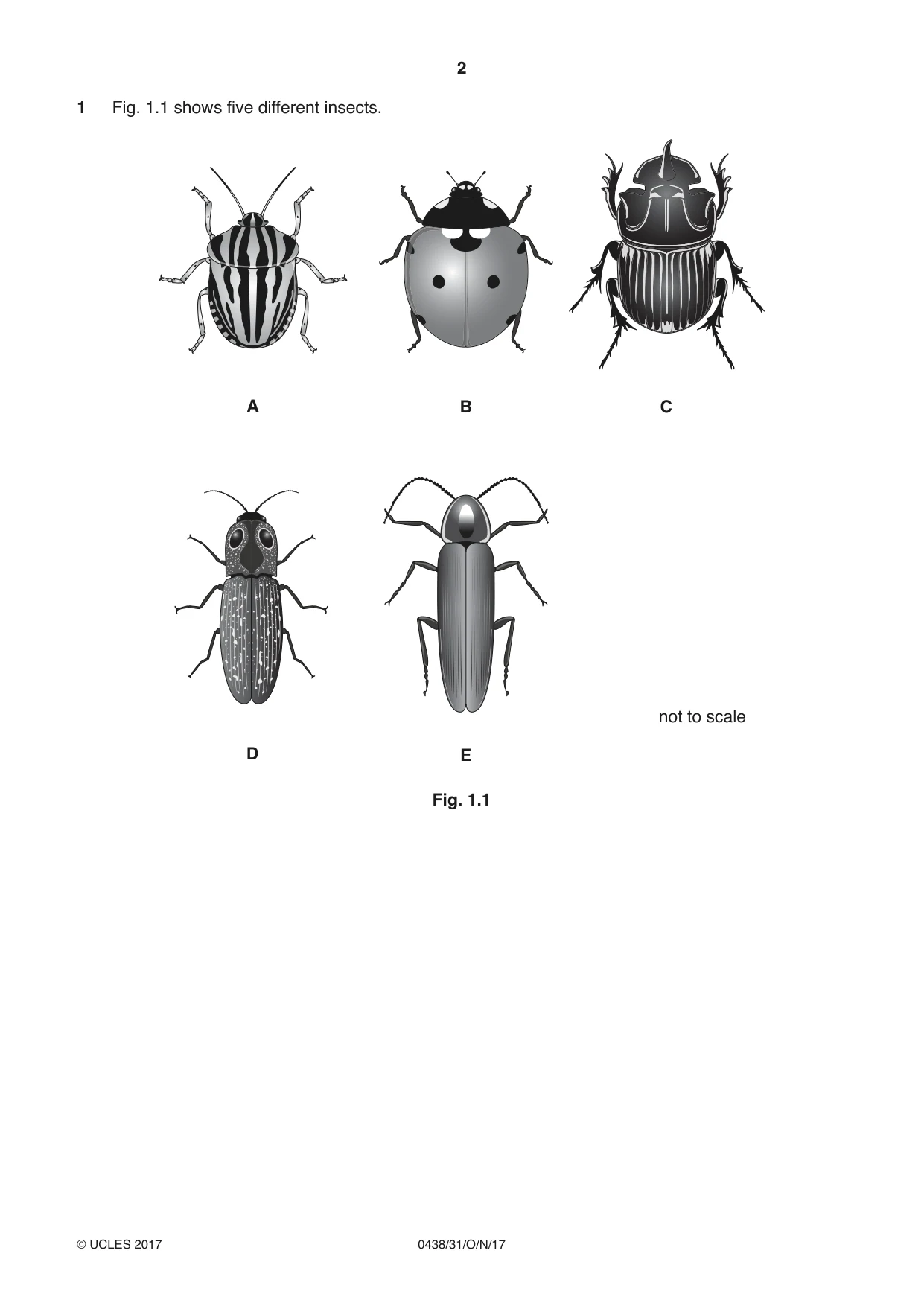 Cambridge IGCSE Biology (BES) 0438 2017 Oct/Nov Paper 3 · Variant 1 question paper, page 2 of 20