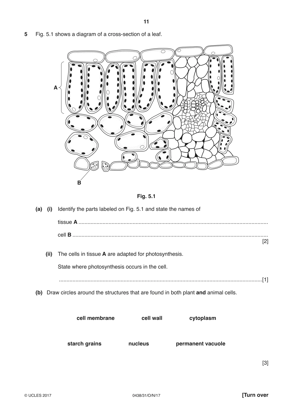 Cambridge IGCSE Biology (BES) 0438 2017 Oct/Nov Paper 3 · Variant 1 question paper, page 11 of 20