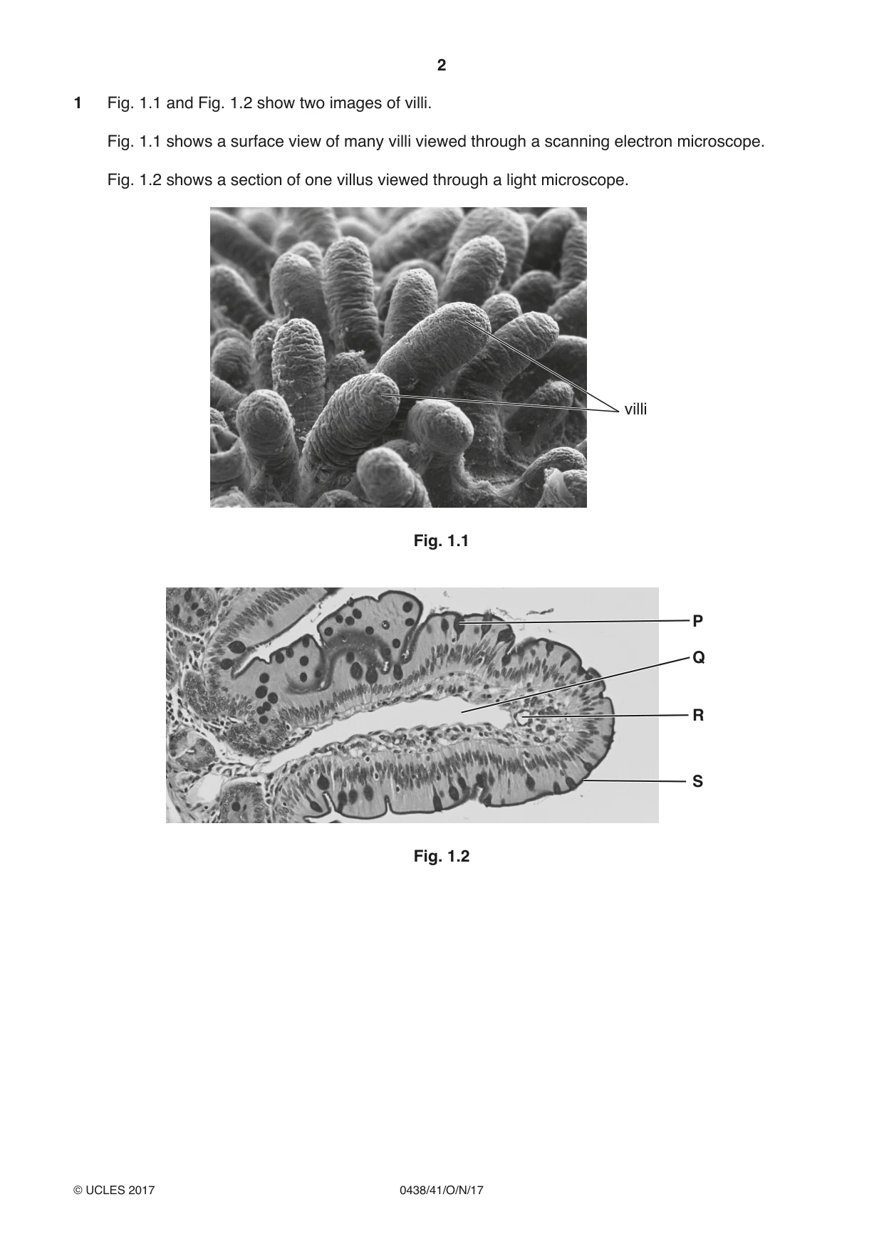 Cambridge IGCSE Biology (BES) 0438 2017 Oct/Nov Paper 4 · Variant 1 question paper, page 2 of 20