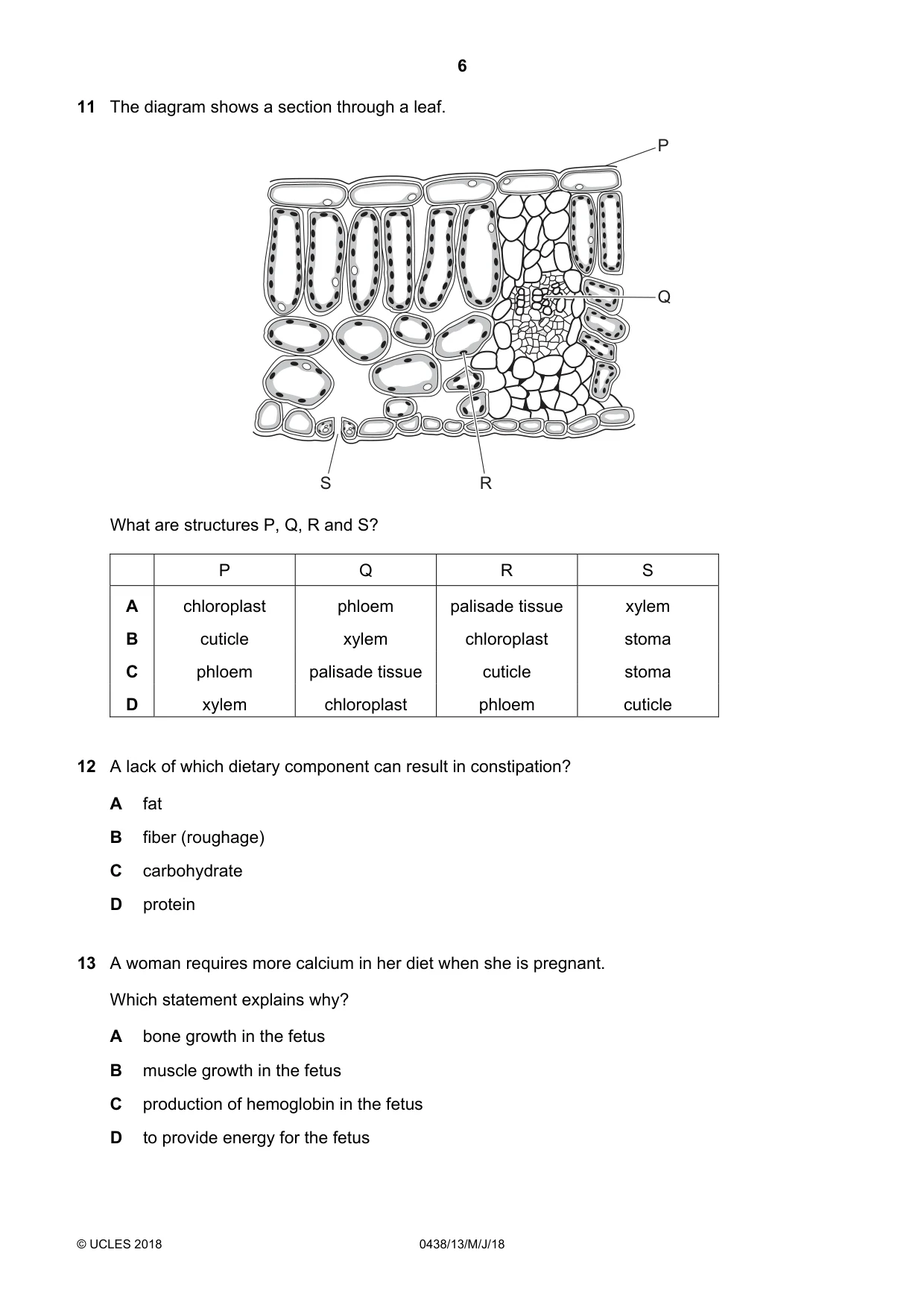 Cambridge IGCSE Biology (BES) 0438 2018 May/June Paper 1 · Variant 3 question paper, page 6 of 16