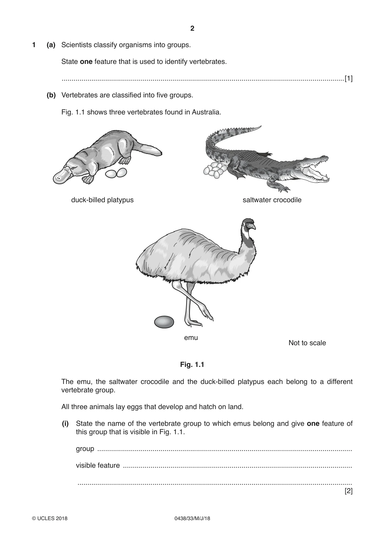 Cambridge IGCSE Biology (BES) 0438 2018 May/June Paper 3 · Variant 3 question paper, page 2 of 20