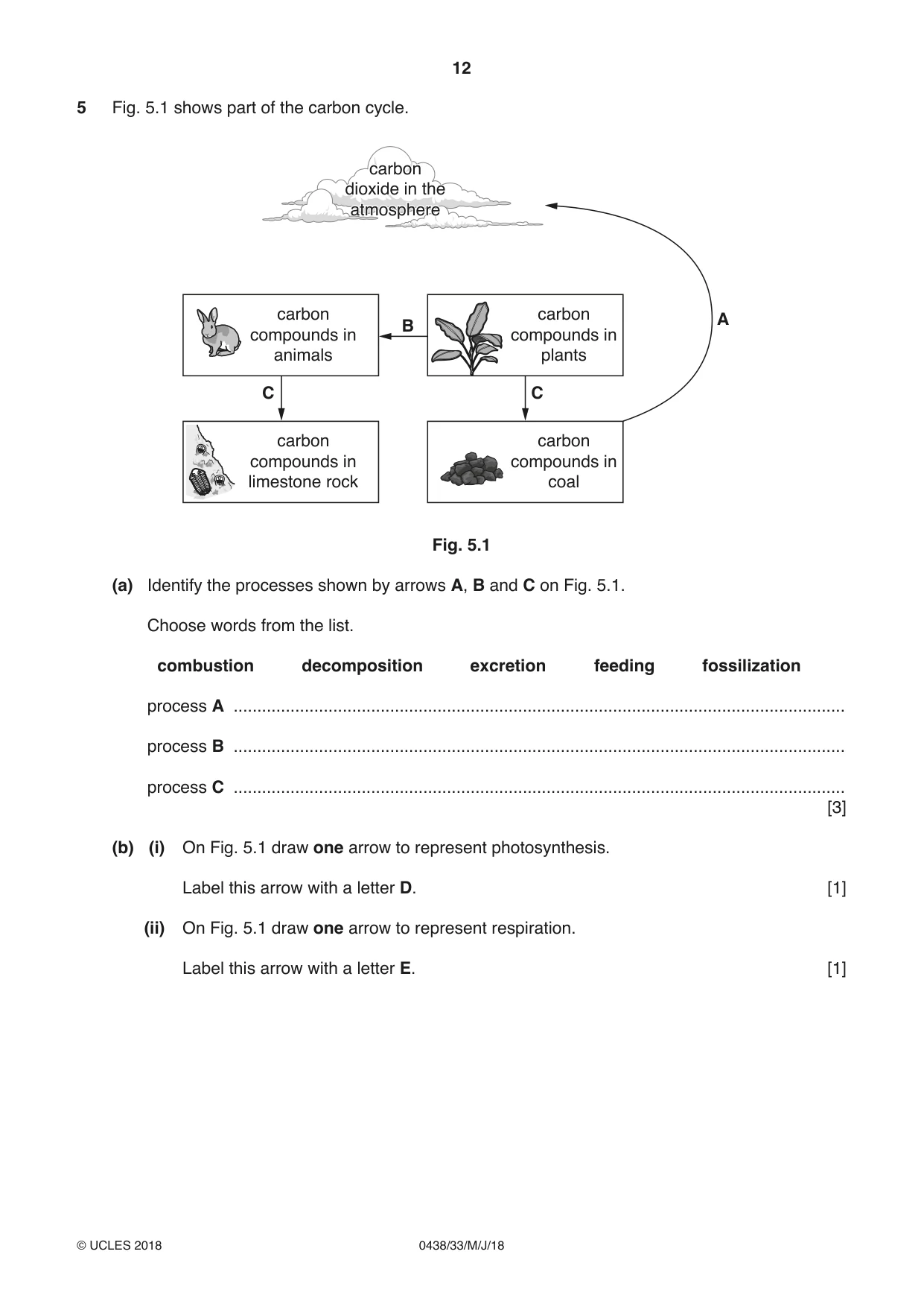 Cambridge IGCSE Biology (BES) 0438 2018 May/June Paper 3 · Variant 3 question paper, page 12 of 20
