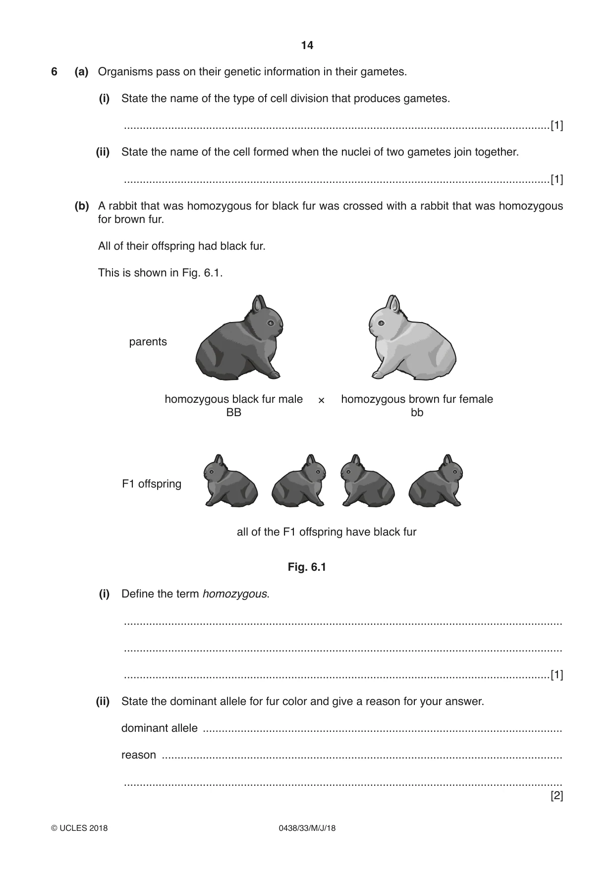Cambridge IGCSE Biology (BES) 0438 2018 May/June Paper 3 · Variant 3 question paper, page 14 of 20