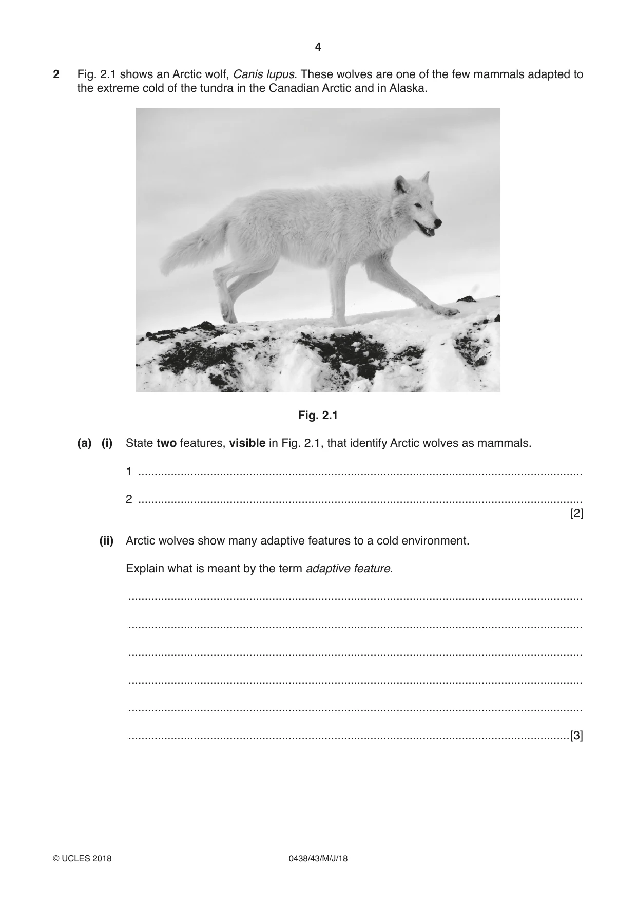 Cambridge IGCSE Biology (BES) 0438 2018 May/June Paper 4 · Variant 3 question paper, page 4 of 20