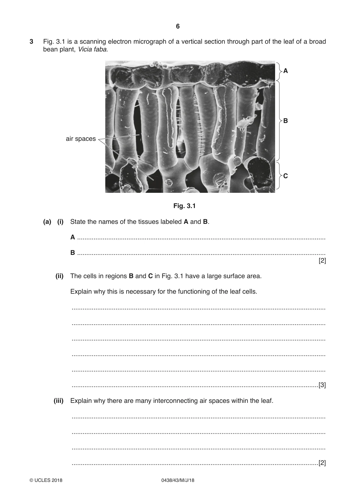 Cambridge IGCSE Biology (BES) 0438 2018 May/June Paper 4 · Variant 3 question paper, page 6 of 20