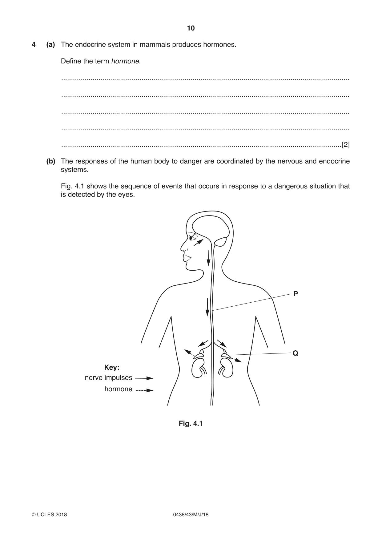 Cambridge IGCSE Biology (BES) 0438 2018 May/June Paper 4 · Variant 3 question paper, page 10 of 20