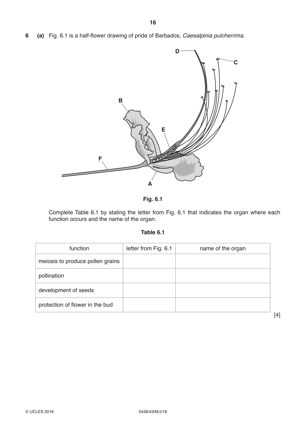 Cambridge IGCSE Biology (BES) 0438 2018 May/June Paper 4 · Variant 3 question paper, page 16 of 20