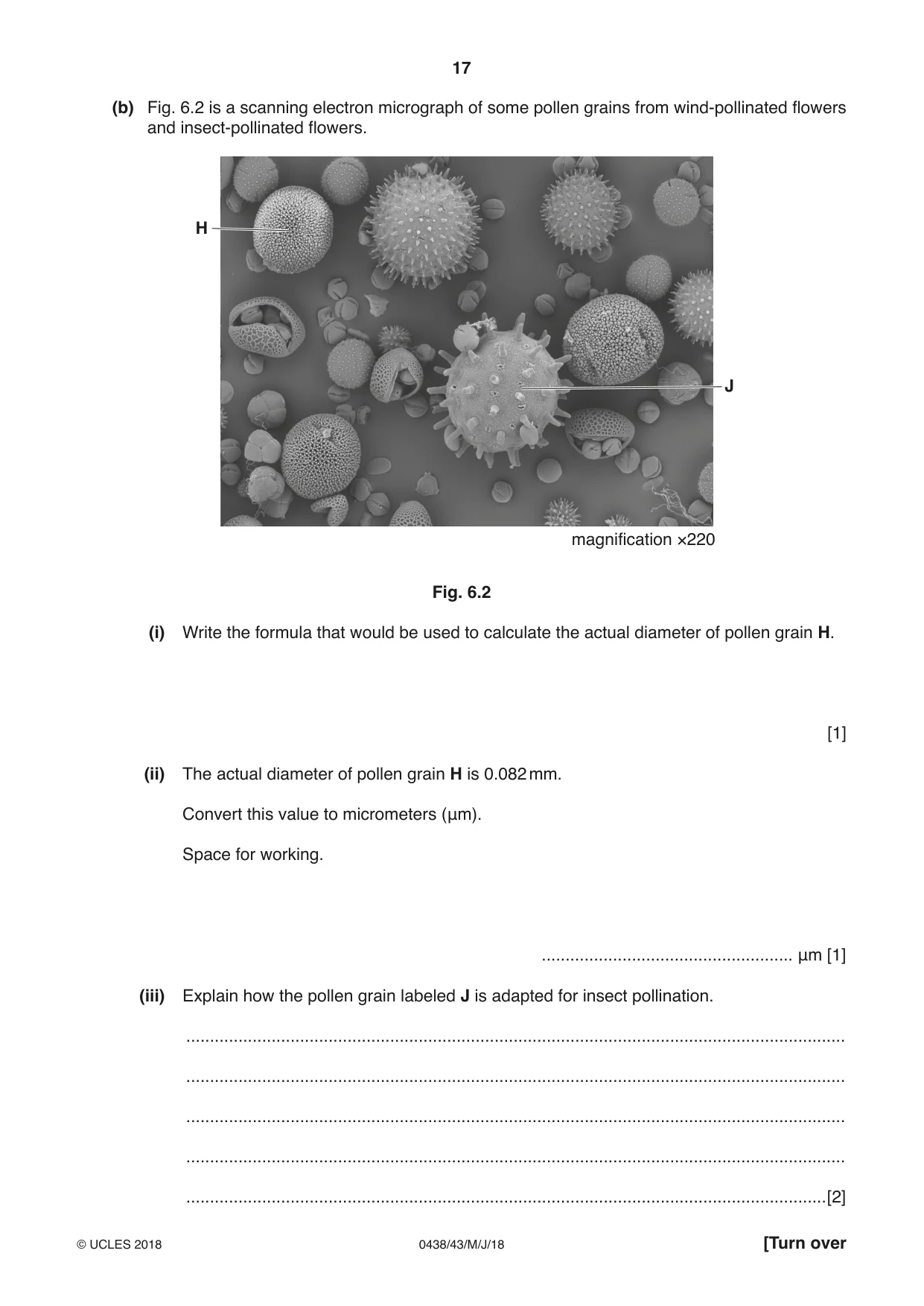 Cambridge IGCSE Biology (BES) 0438 2018 May/June Paper 4 · Variant 3 question paper, page 17 of 20