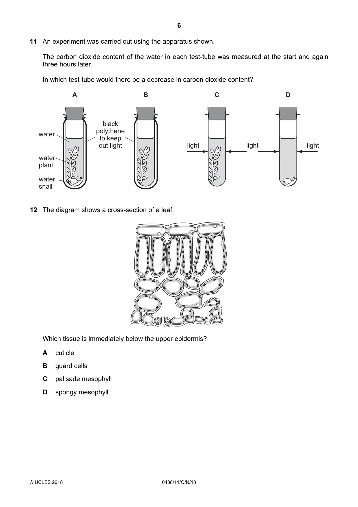 Cambridge IGCSE Biology (BES) 0438 2018 Oct/Nov Paper 1 · Variant 1 question paper, page 6 of 20