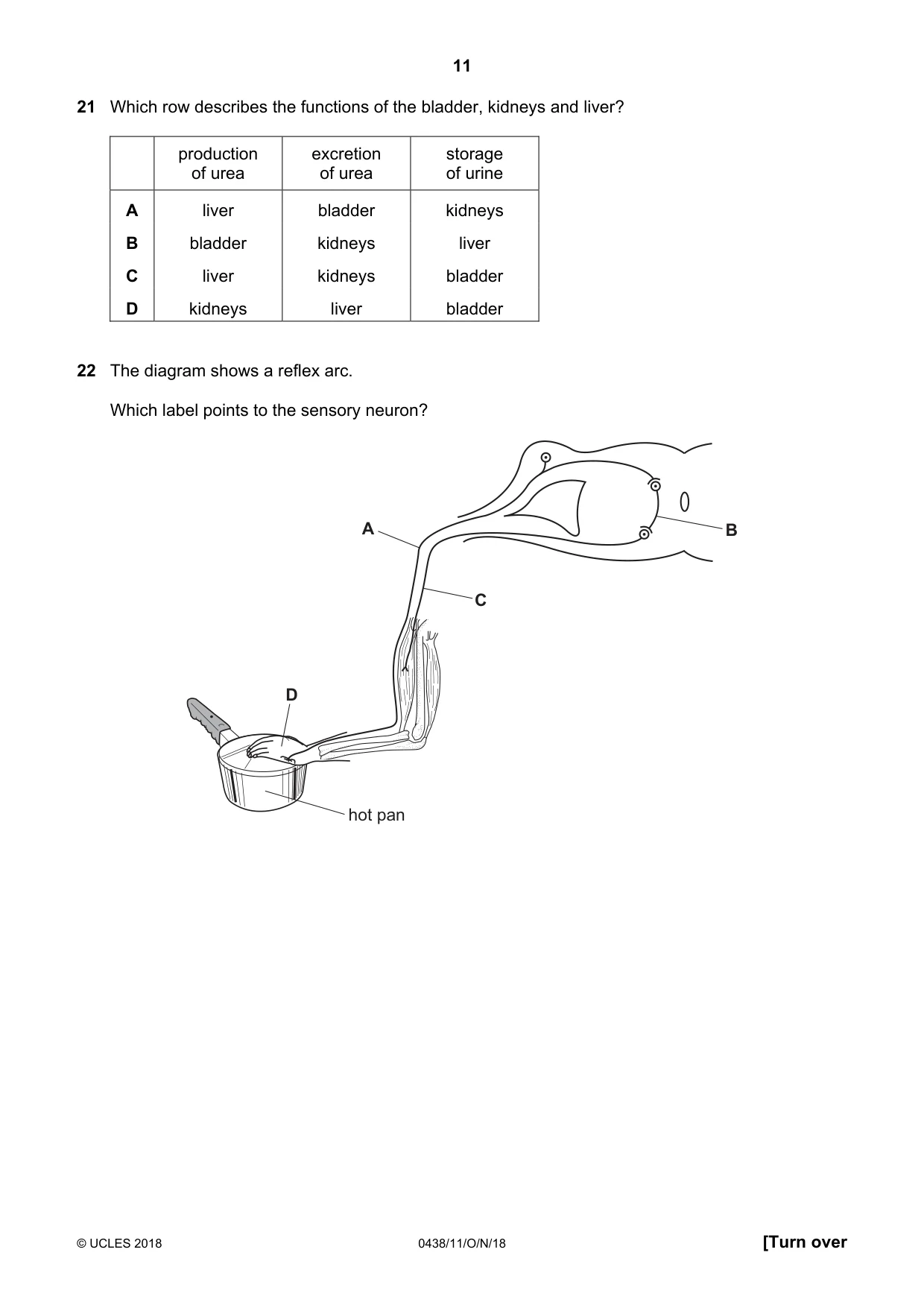 Cambridge IGCSE Biology (BES) 0438 2018 Oct/Nov Paper 1 · Variant 1 question paper, page 11 of 20