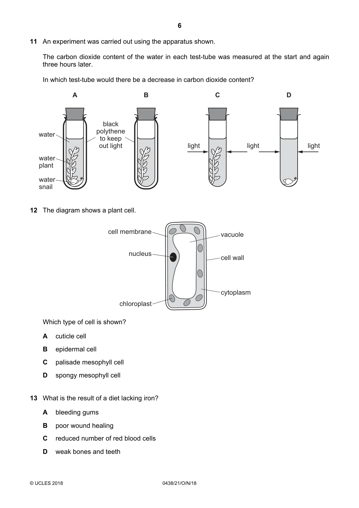 Cambridge IGCSE Biology (BES) 0438 2018 Oct/Nov Paper 2 · Variant 1 question paper, page 6 of 20