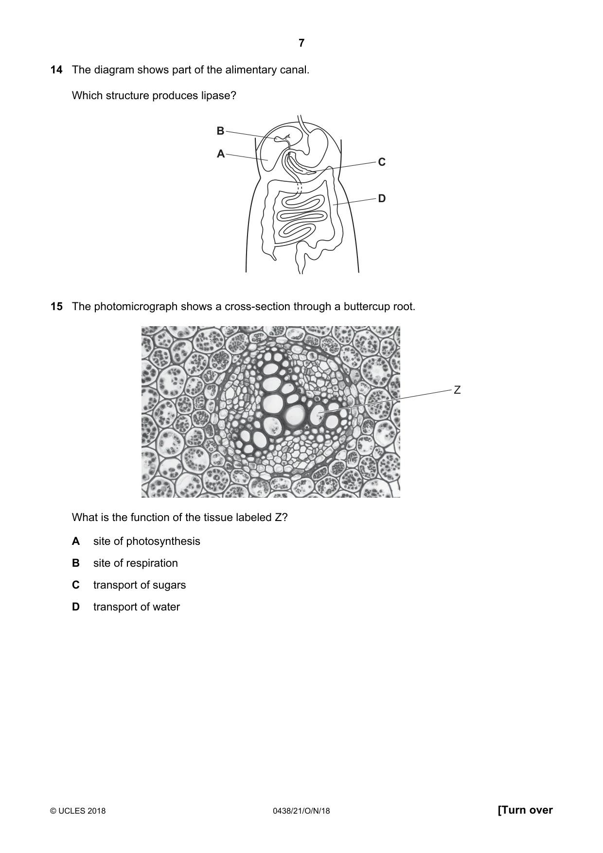 Cambridge IGCSE Biology (BES) 0438 2018 Oct/Nov Paper 2 · Variant 1 question paper, page 7 of 20
