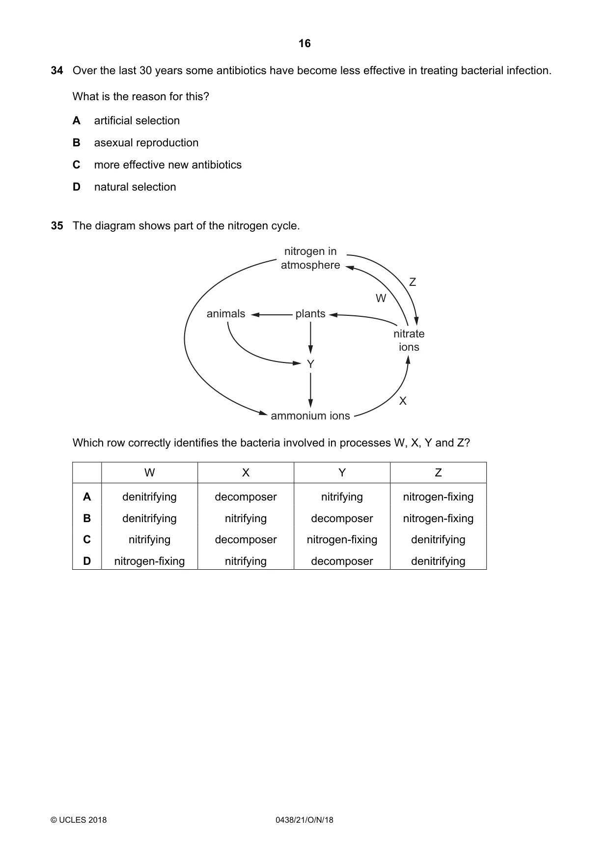 Cambridge IGCSE Biology (BES) 0438 2018 Oct/Nov Paper 2 · Variant 1 question paper, page 16 of 20