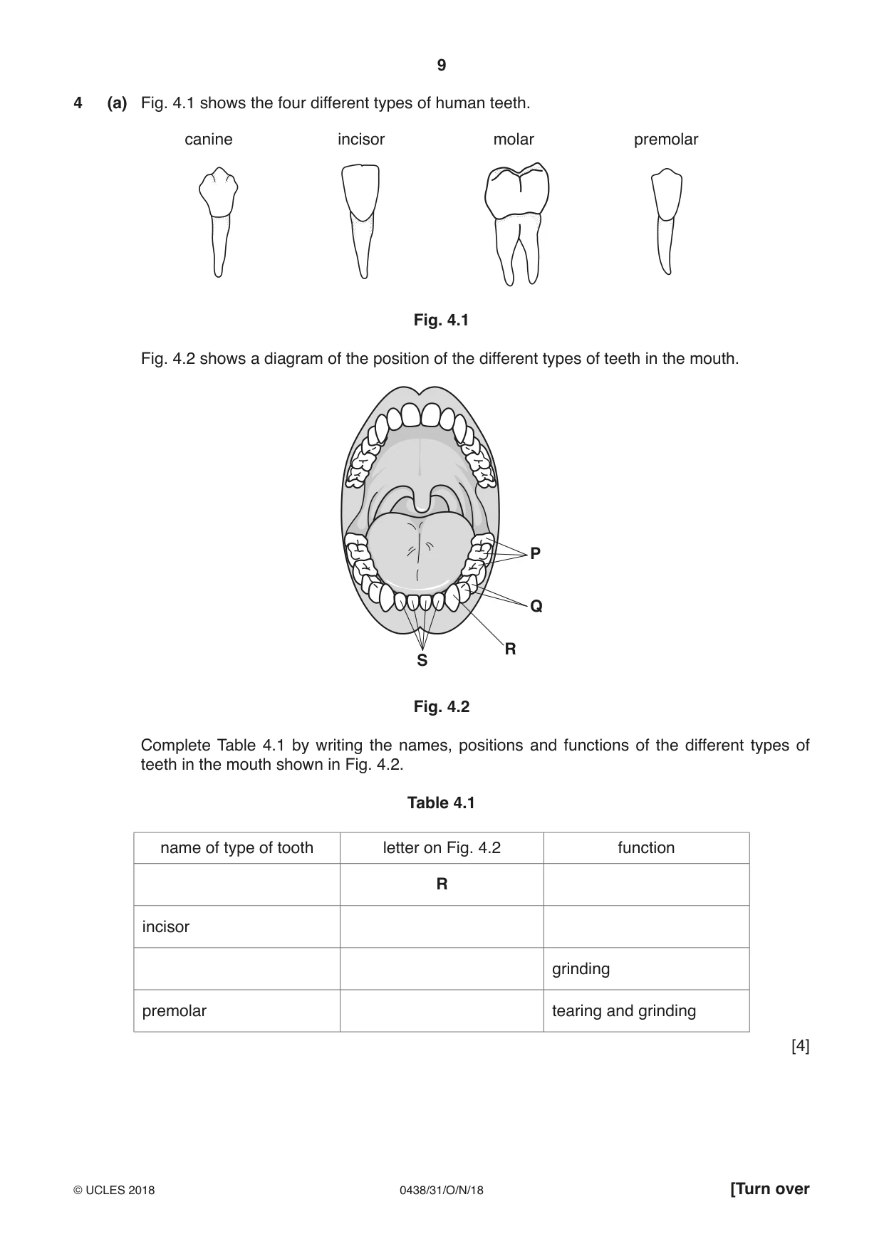Cambridge IGCSE Biology (BES) 0438 2018 Oct/Nov Paper 3 · Variant 1 question paper, page 9 of 20