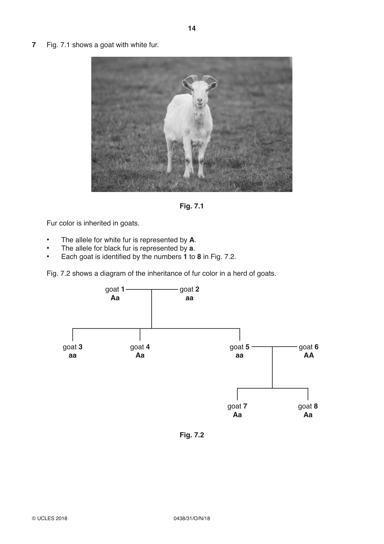 Cambridge IGCSE Biology (BES) 0438 2018 Oct/Nov Paper 3 · Variant 1 question paper, page 14 of 20