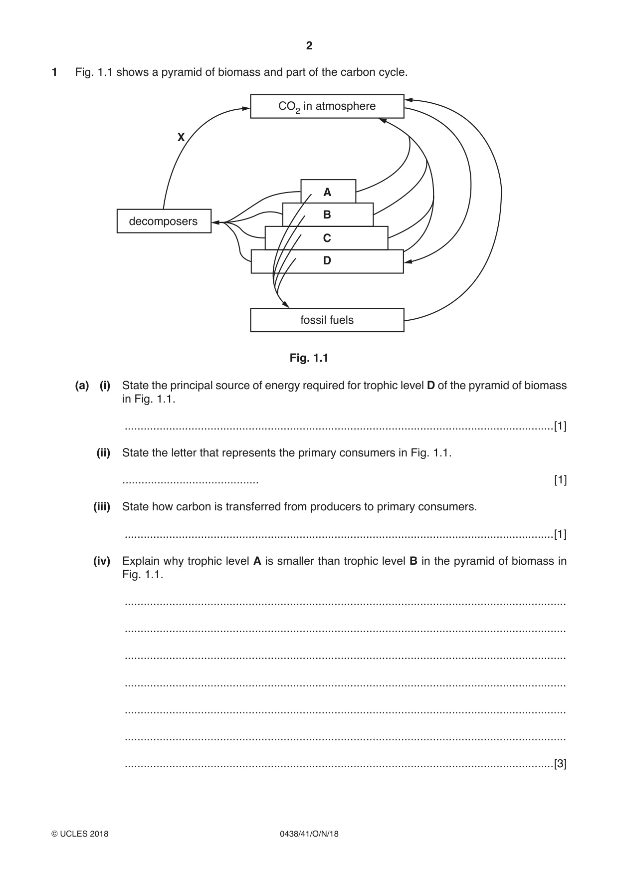 Cambridge IGCSE Biology (BES) 0438 2018 Oct/Nov Paper 4 · Variant 1 question paper, page 2 of 16