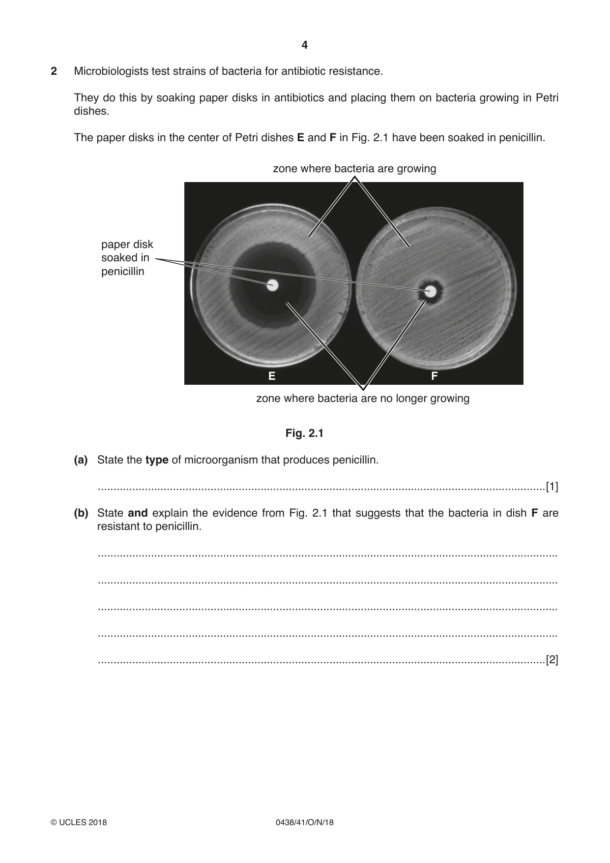 Cambridge IGCSE Biology (BES) 0438 2018 Oct/Nov Paper 4 · Variant 1 question paper, page 4 of 16