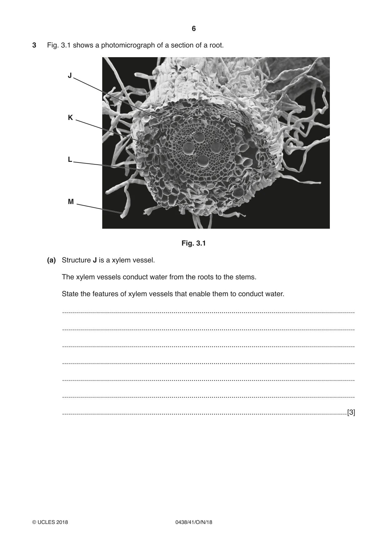 Cambridge IGCSE Biology (BES) 0438 2018 Oct/Nov Paper 4 · Variant 1 question paper, page 6 of 16