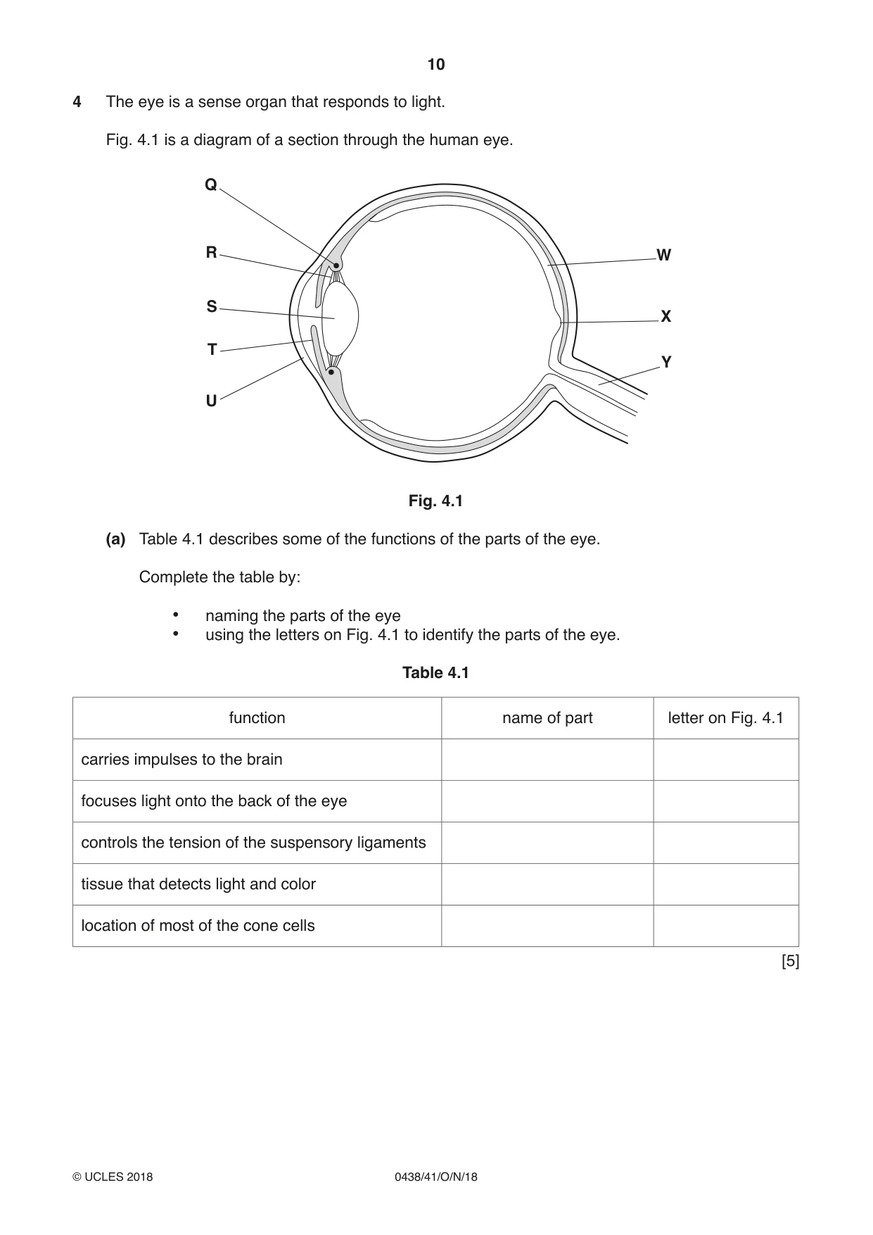 Cambridge IGCSE Biology (BES) 0438 2018 Oct/Nov Paper 4 · Variant 1 question paper, page 10 of 16