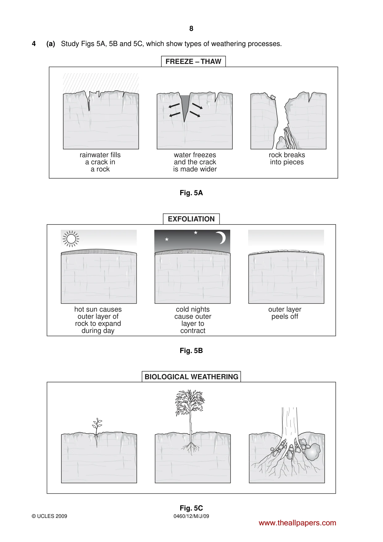 Cambridge IGCSE Geography 0460 2009 May/June Paper 1 · Variant 1 question paper, page 21 of 29