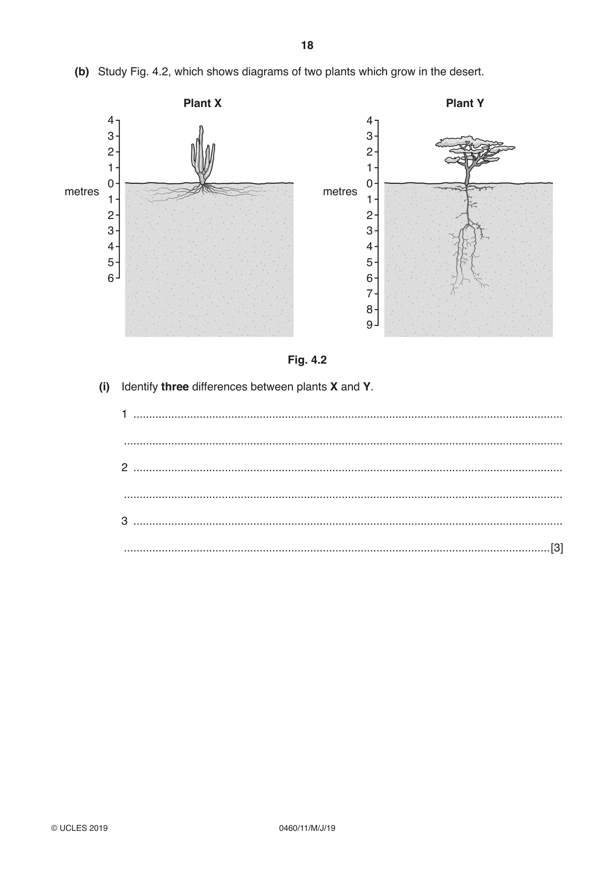 Cambridge IGCSE Geography 0460 2019 May/June Paper 1 · Variant 1 question paper, page 18 of 32
