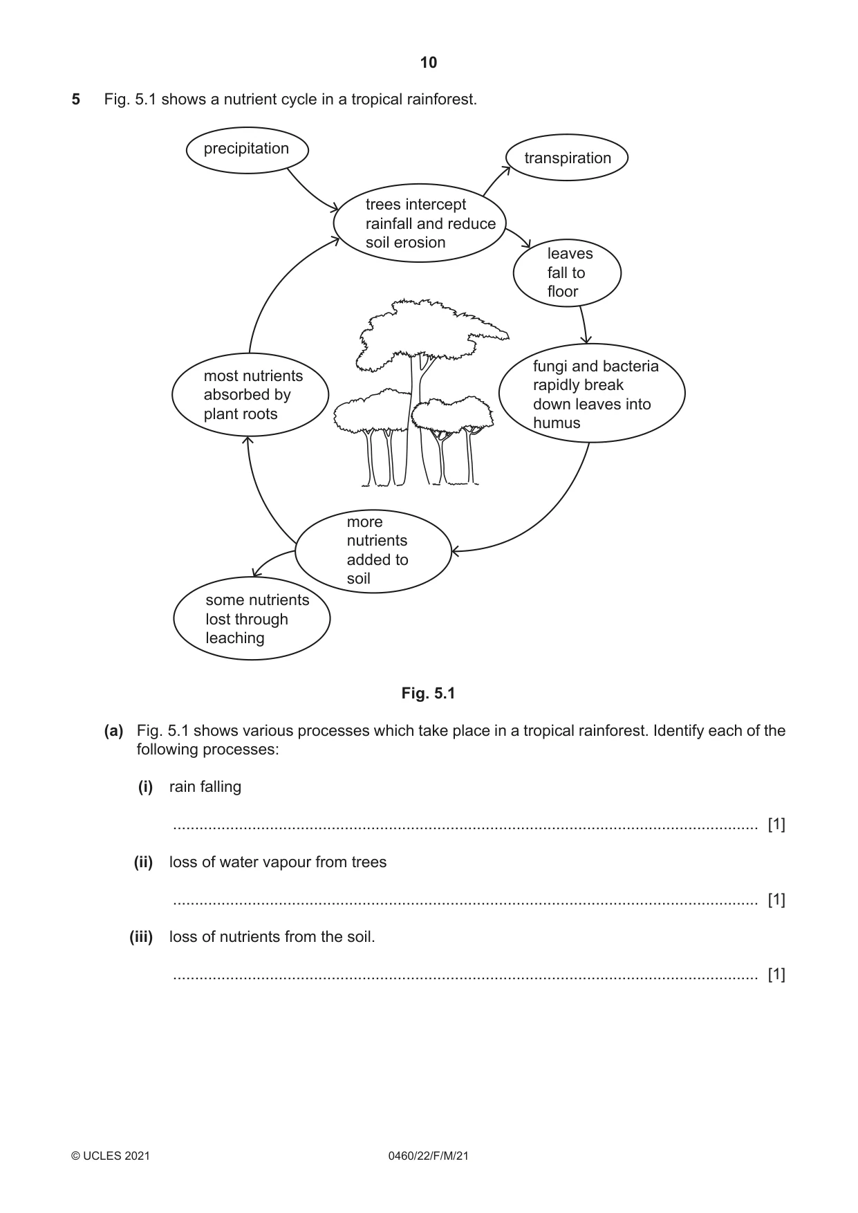Cambridge IGCSE Geography 0460 2021 Feb/March Paper 2 · Variant 2 question paper, page 10 of 16