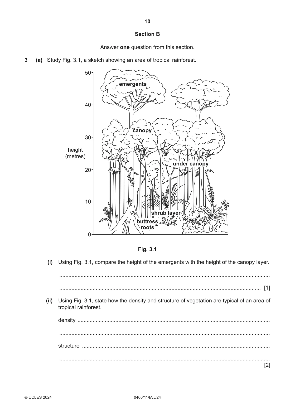 Cambridge IGCSE Geography 0460 2024 May/June Paper 1 · Variant 1 question paper, page 10 of 28