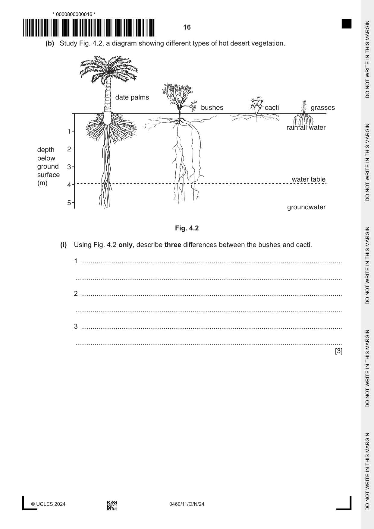 Cambridge IGCSE Geography 0460 2024 Oct/Nov Paper 1 · Variant 1 question paper, page 16 of 28