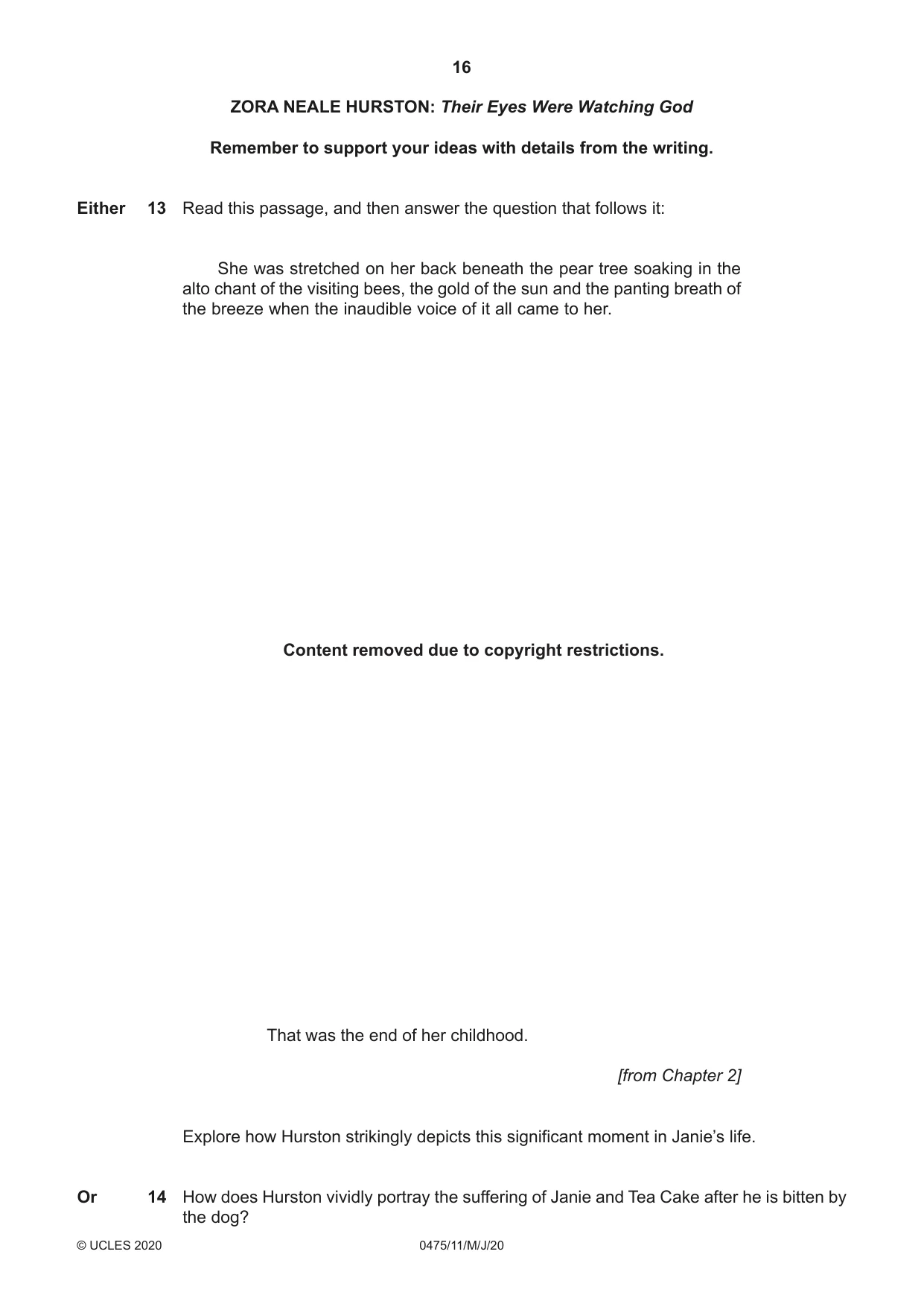 Cambridge IGCSE English - Literature in English 0475 2020 May/June Paper 1 · Variant 1 question paper, page 16 of 28