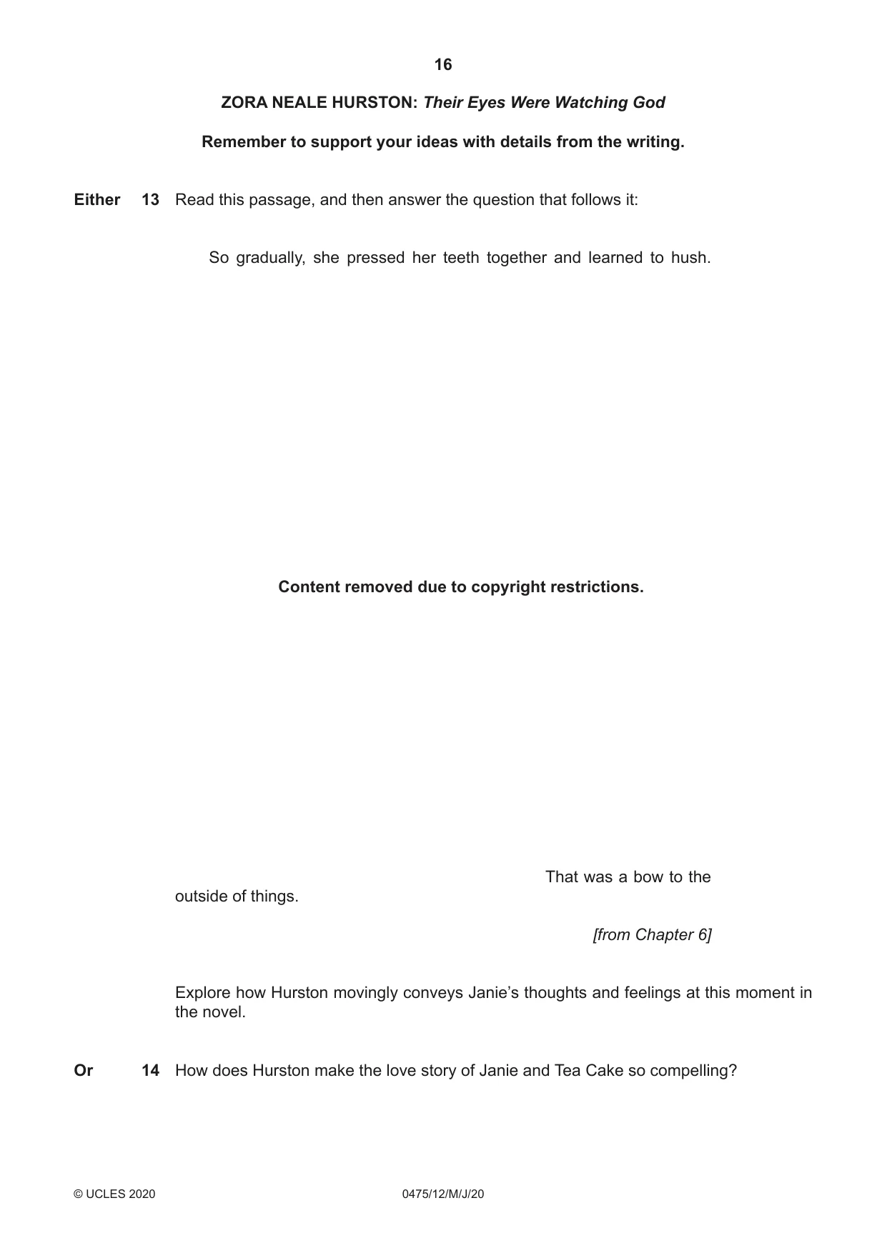 Cambridge IGCSE English - Literature in English 0475 2020 May/June Paper 1 · Variant 2 question paper, page 16 of 28