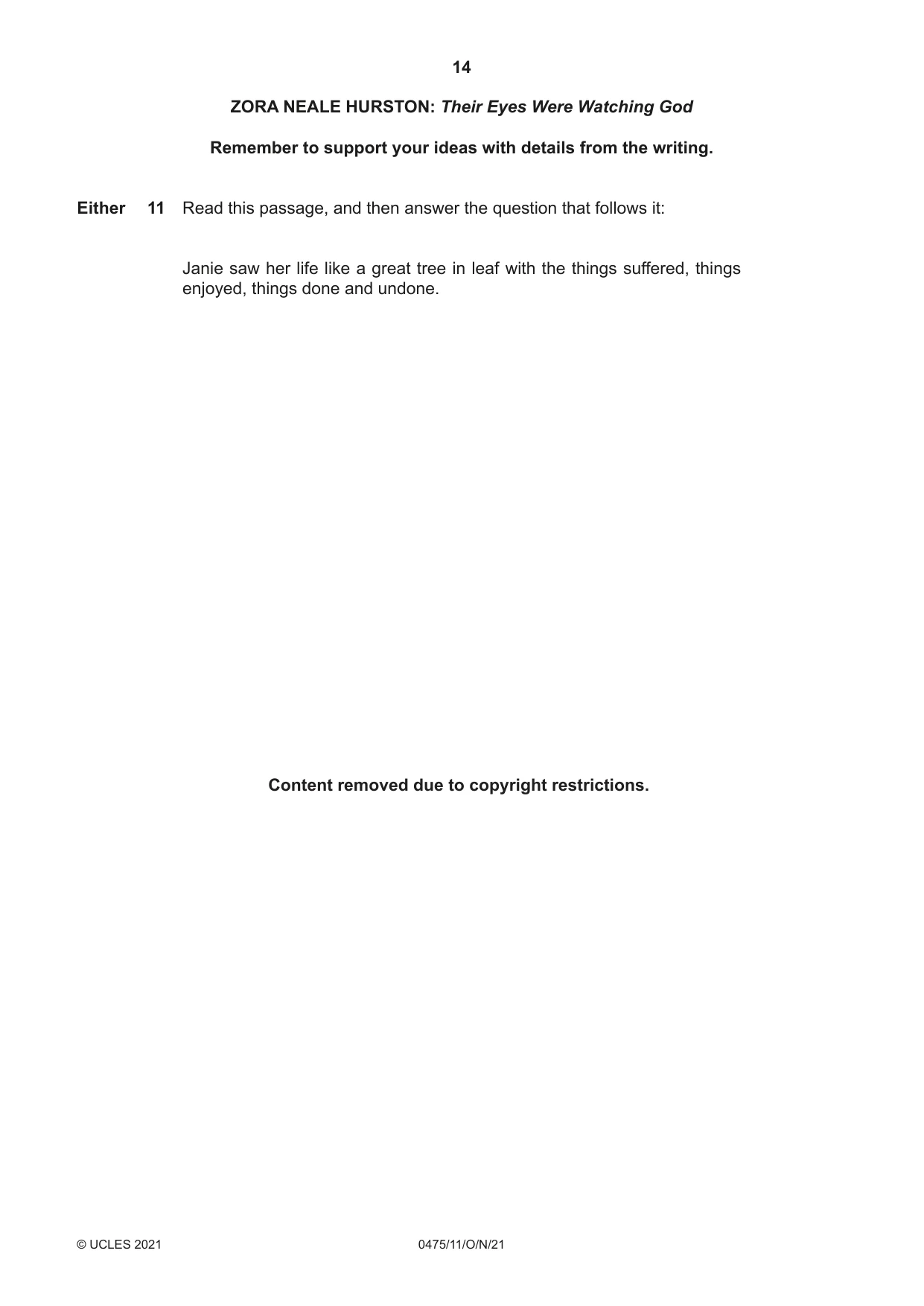 Cambridge IGCSE English - Literature in English 0475 2021 Oct/Nov Paper 1 · Variant 1 question paper, page 14 of 28