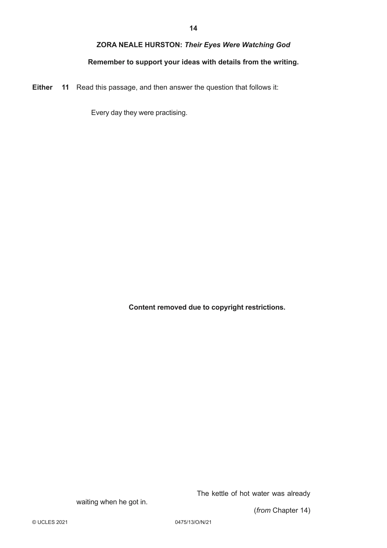 Cambridge IGCSE English - Literature in English 0475 2021 Oct/Nov Paper 1 · Variant 3 question paper, page 14 of 28
