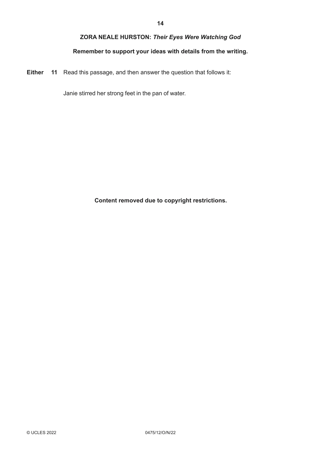 Cambridge IGCSE English - Literature in English 0475 2022 Oct/Nov Paper 1 · Variant 2 question paper, page 14 of 28