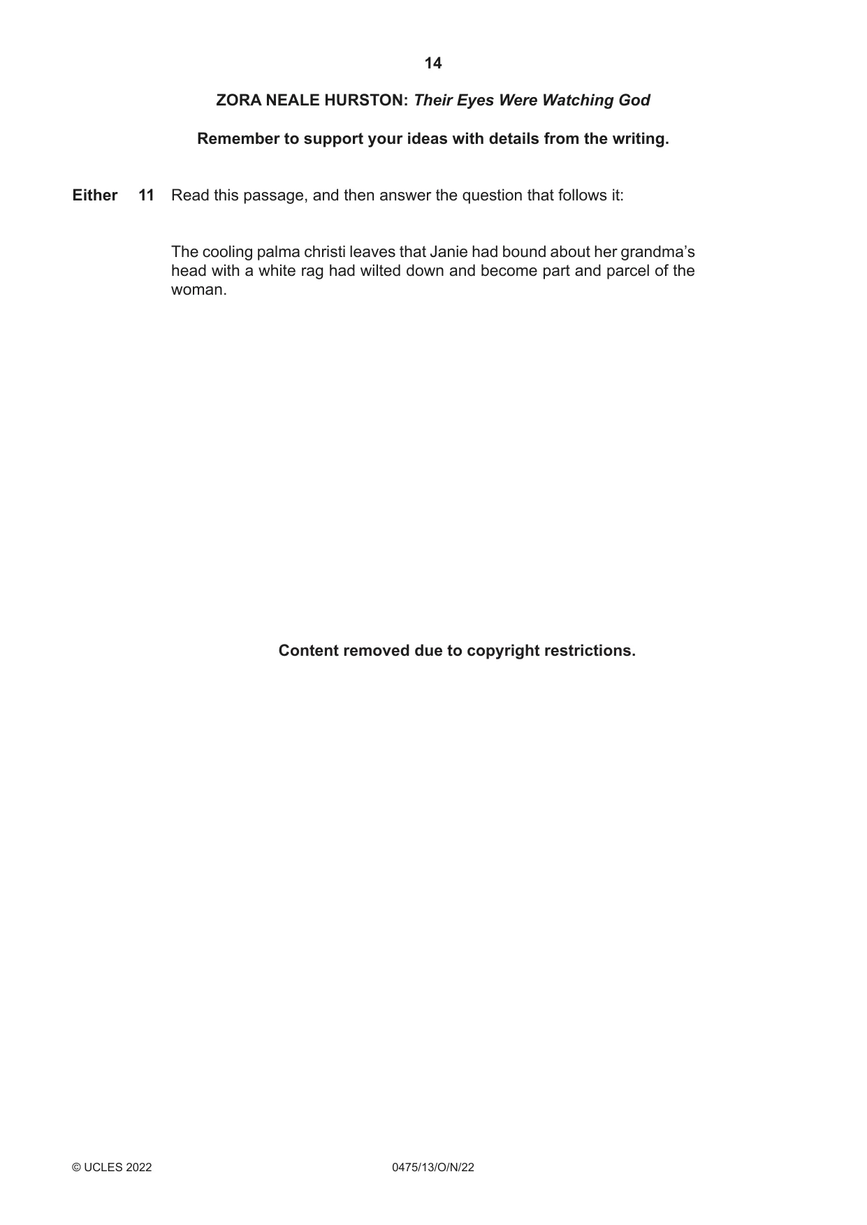 Cambridge IGCSE English - Literature in English 0475 2022 Oct/Nov Paper 1 · Variant 3 question paper, page 14 of 28