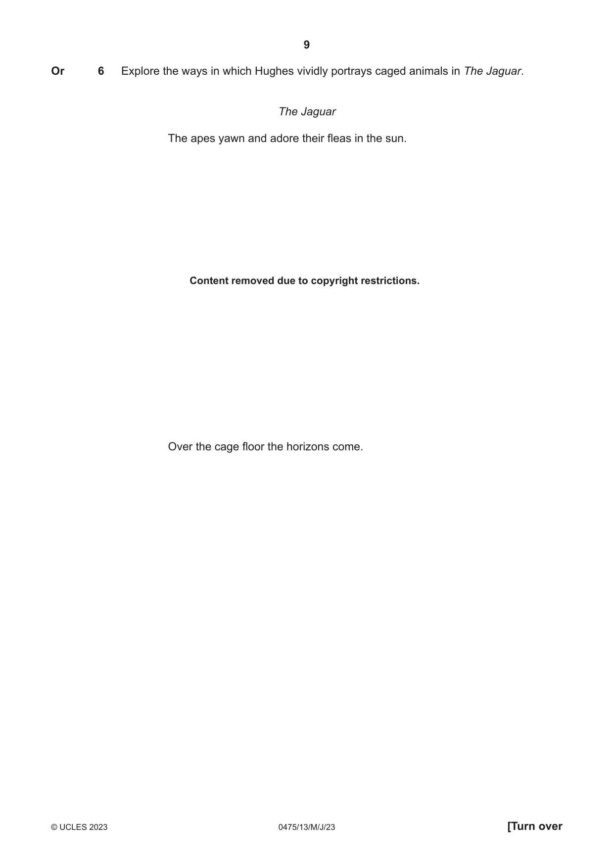 Cambridge IGCSE English - Literature in English 0475 2023 May/June Paper 1 · Variant 3 question paper, page 9 of 28