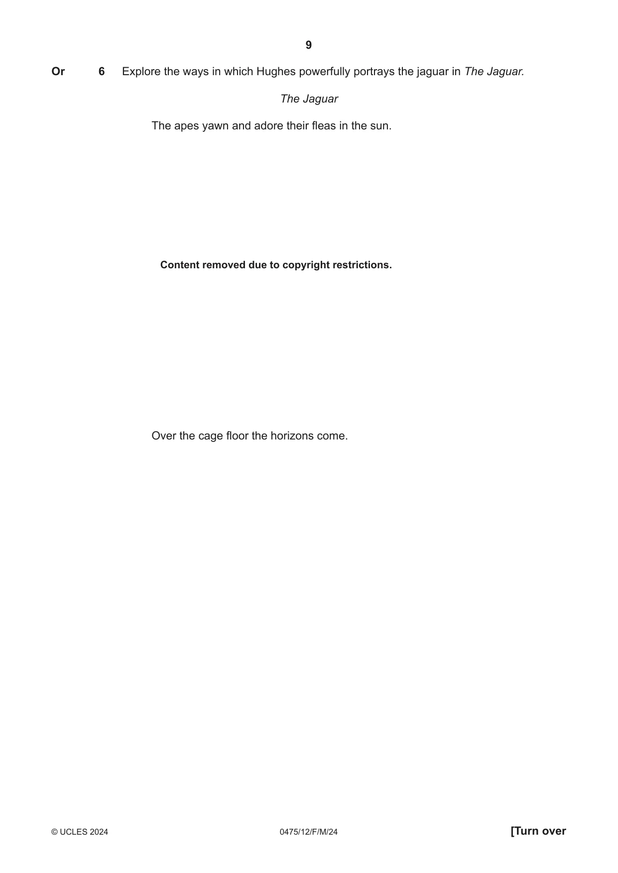 Cambridge IGCSE English - Literature in English 0475 2024 Feb/March Paper 1 · Variant 2 question paper, page 9 of 28