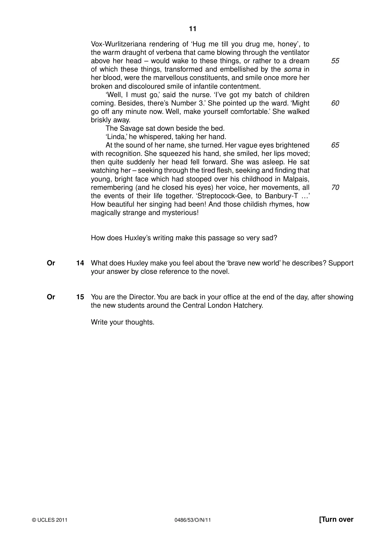 Cambridge IGCSE English - Literature 0486 2011 Oct/Nov Paper 5 · Variant 3 question paper, page 11 of 16