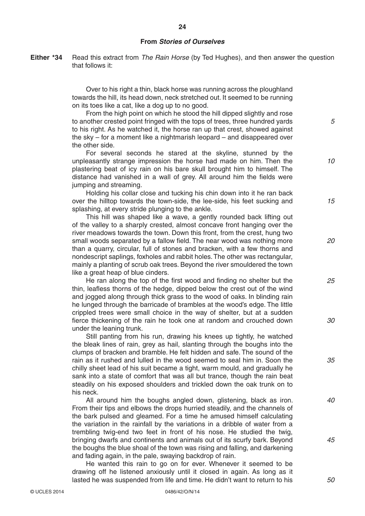 Cambridge IGCSE English - Literature 0486 2014 Oct/Nov Paper 4 · Variant 2 question paper, page 24 of 28