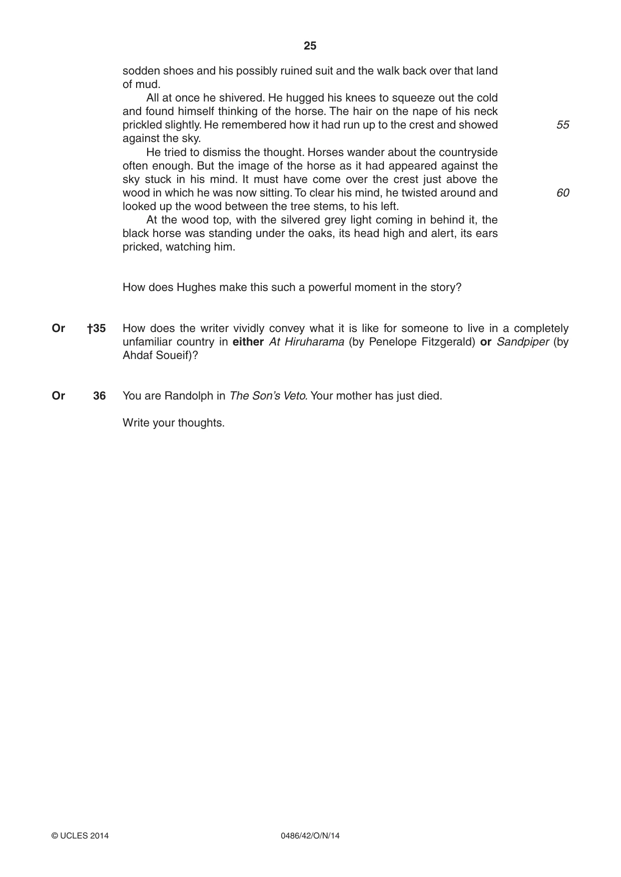 Cambridge IGCSE English - Literature 0486 2014 Oct/Nov Paper 4 · Variant 2 question paper, page 25 of 28