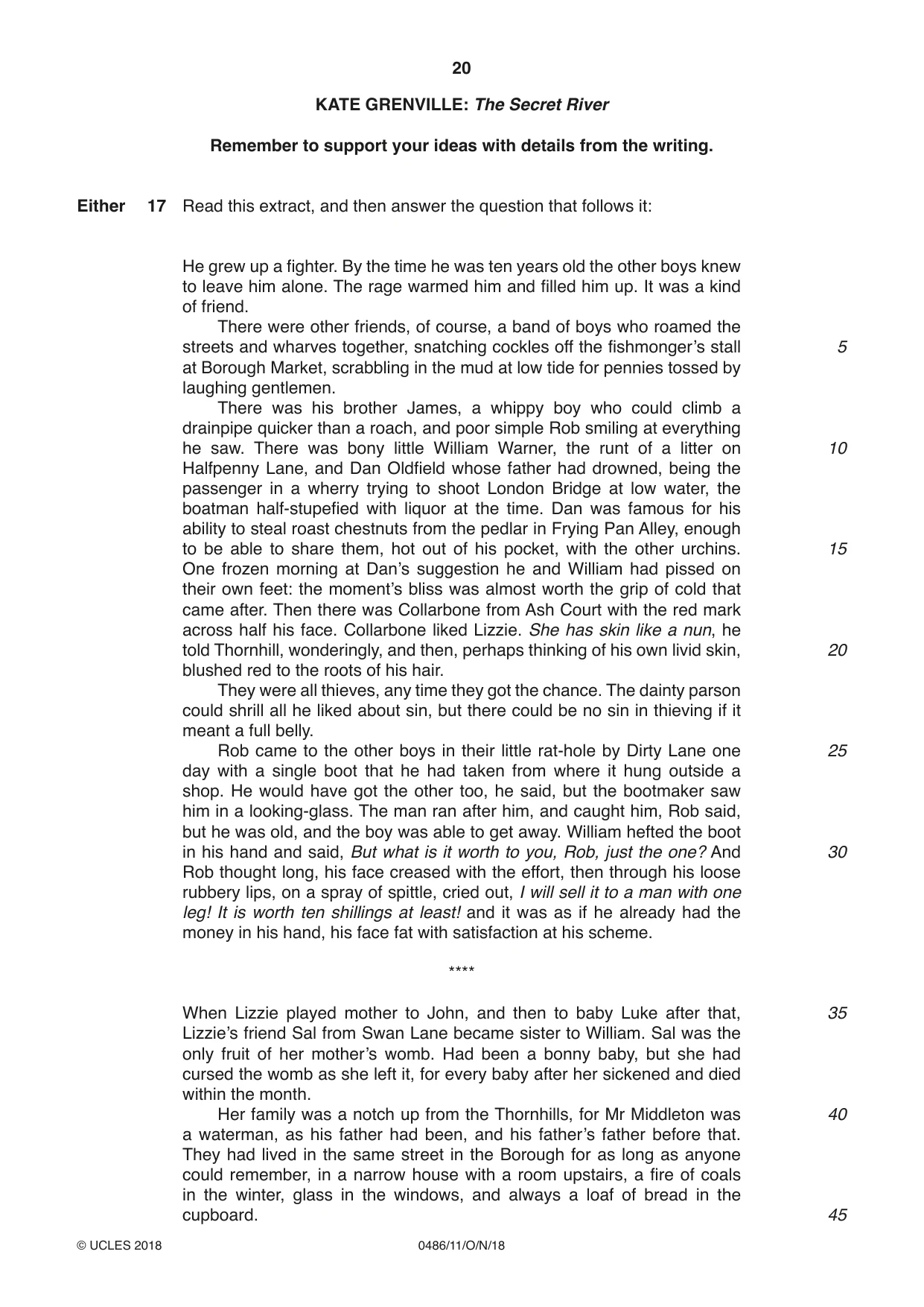 Cambridge IGCSE English - Literature 0486 2018 Oct/Nov Paper 1 · Variant 1 question paper, page 20 of 28