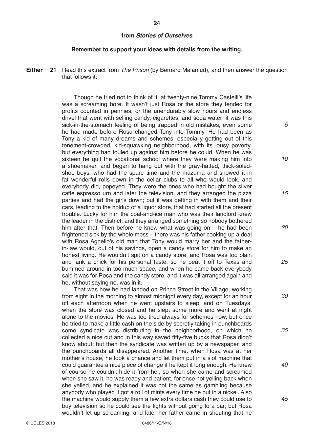 Cambridge IGCSE English - Literature 0486 2018 Oct/Nov Paper 1 · Variant 1 question paper, page 24 of 28