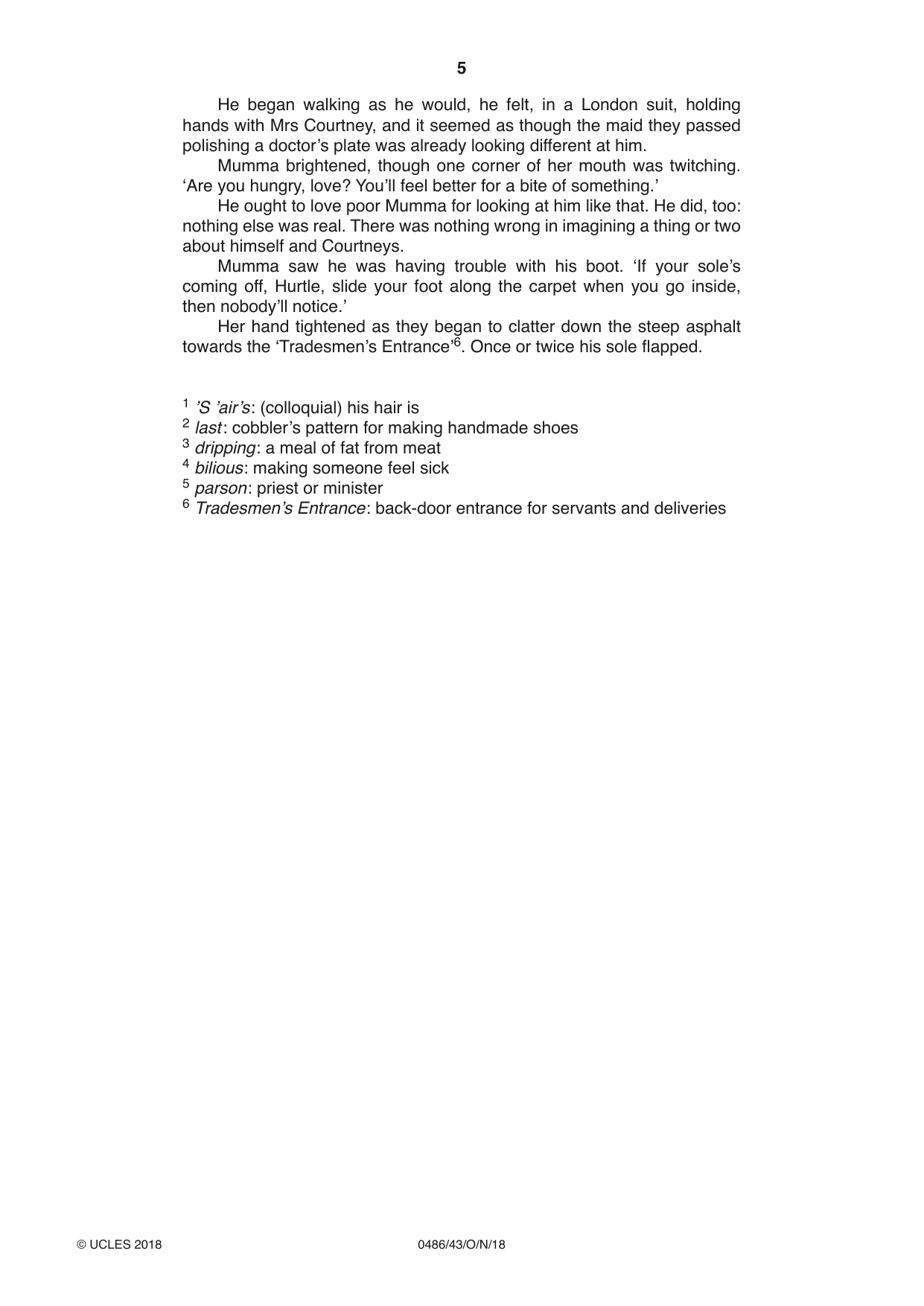 Cambridge IGCSE English - Literature 0486 2018 Oct/Nov Paper 4 · Variant 3 question paper, page 5 of 8