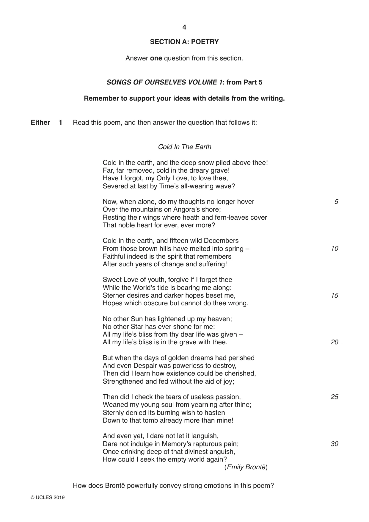 Cambridge IGCSE English - Literature 0486 2019 Feb/March Paper 1 · Variant 2 question paper, page 4 of 28